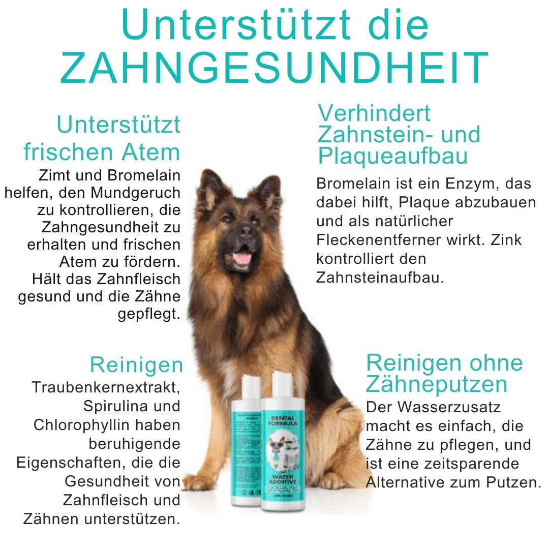 Belora's AquaDent™ Pets – Wasserzusatz für gesunde Zähne bei Hunden & Katzen