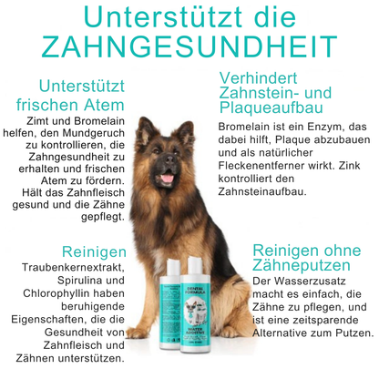 Belora's AquaDent™ Pets – Wasserzusatz für gesunde Zähne bei Hunden & Katzen