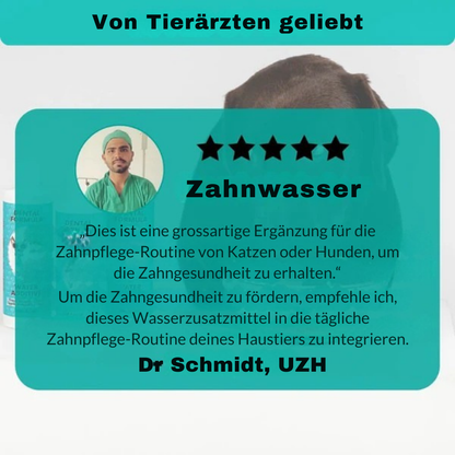 Belora's AquaDent™ Pets – Wasserzusatz für gesunde Zähne bei Hunden & Katzen