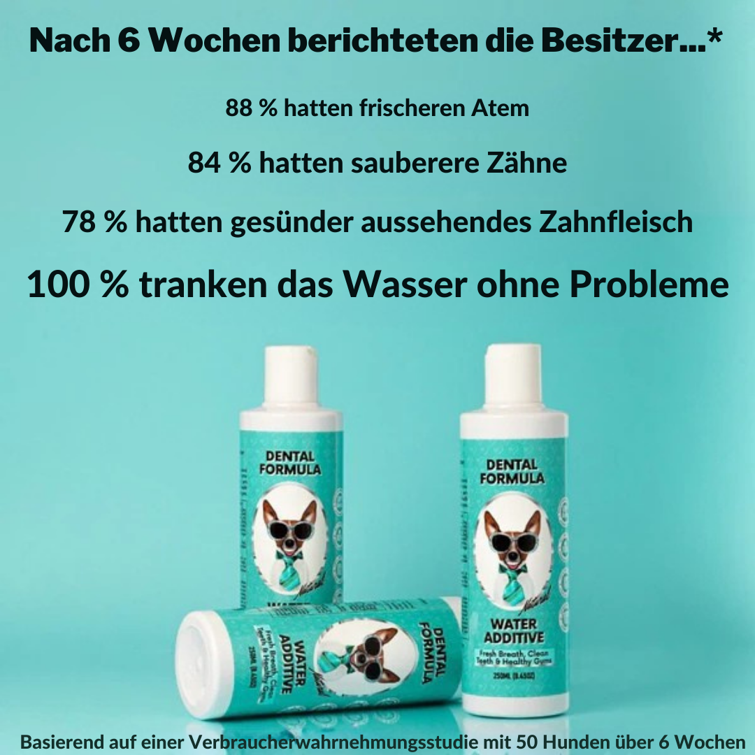 Belora's AquaDent™ Pets – Wasserzusatz für gesunde Zähne bei Hunden & Katzen